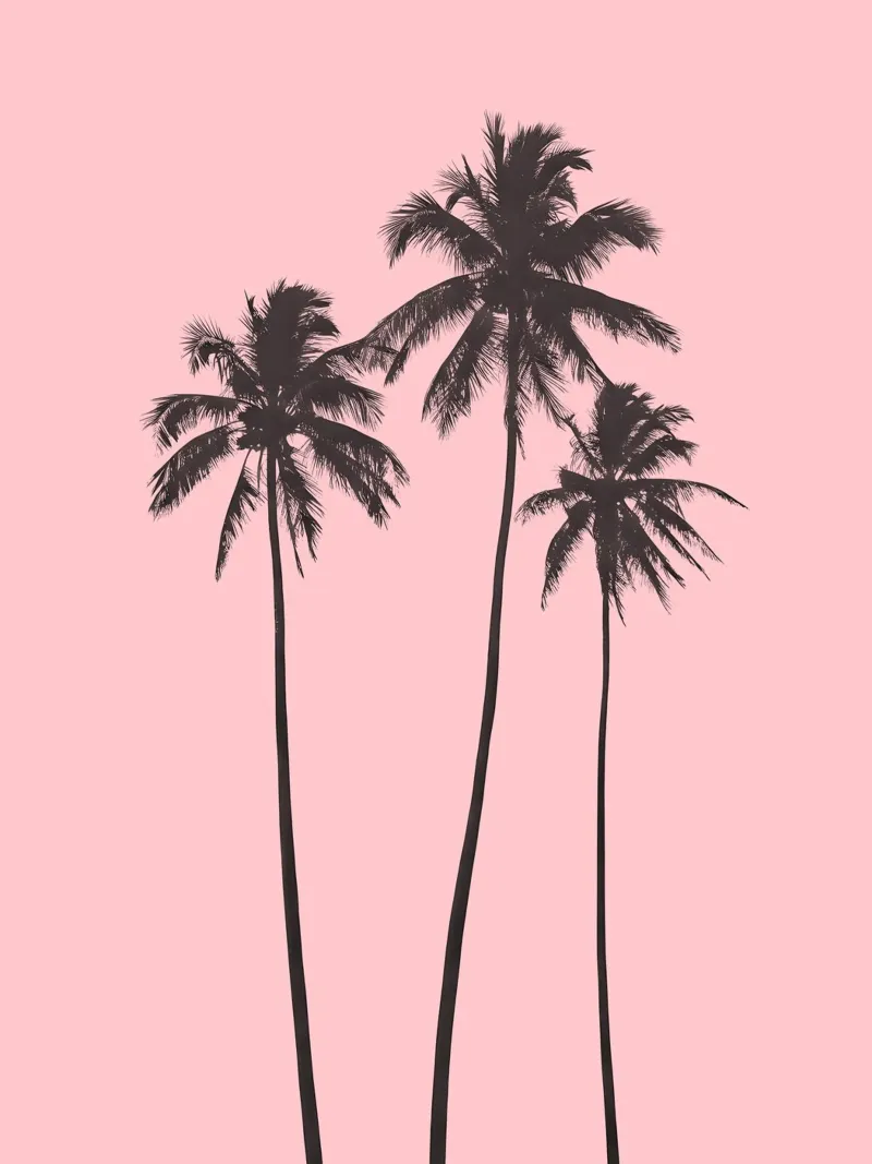 Blush Breeze canvas by Moon  Bloom