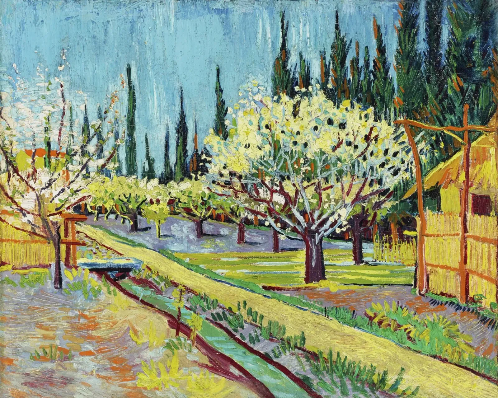 Vincent van Gogh – Orchard Bordered by Cypresses (1888) canvas by Van Gogh Prints