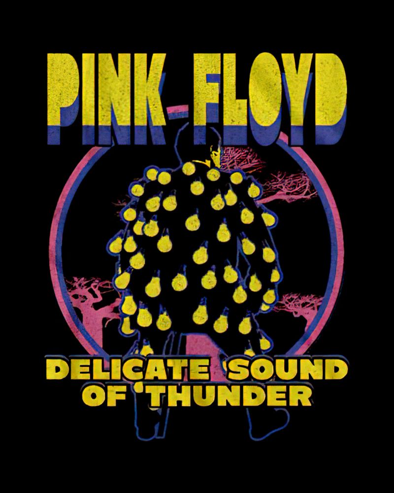 Pink Floyd Delicate Sound Of Thunder pellicola backlit da Curtistore