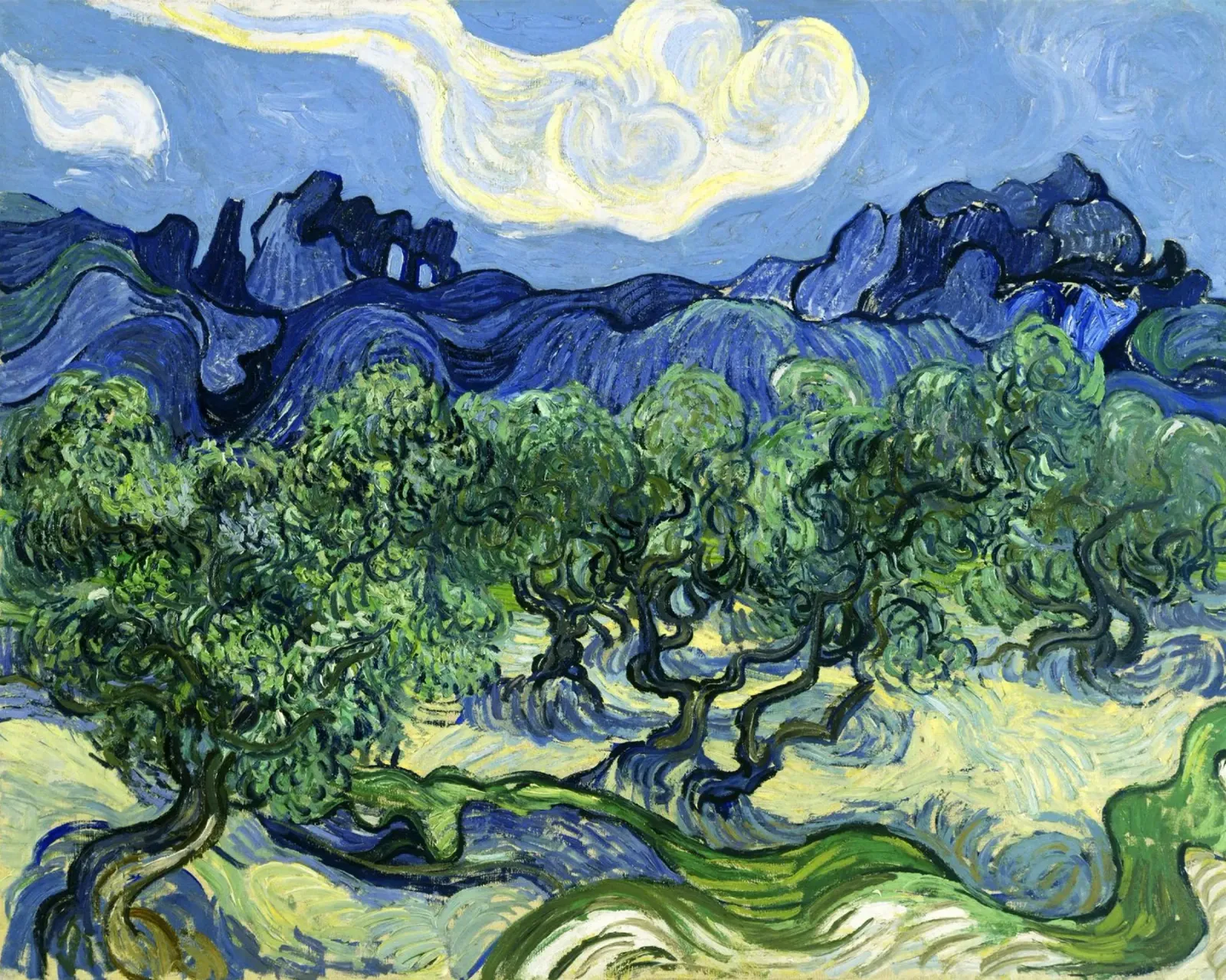 Vincent van Gogh's Olive Trees with the Alpilles in the Back carta hahnemühle da Venus Art