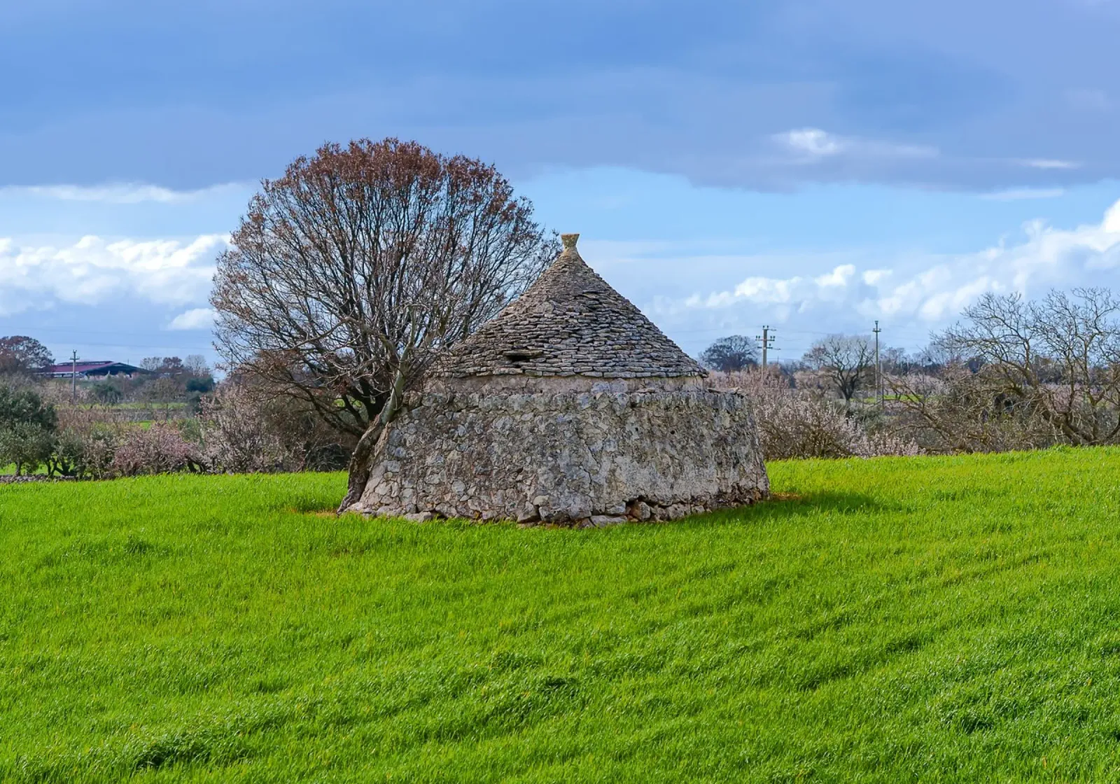 Timeless Apulian Countryside: Ancient Stone Dwelling alu-dibond by peuceta_BA