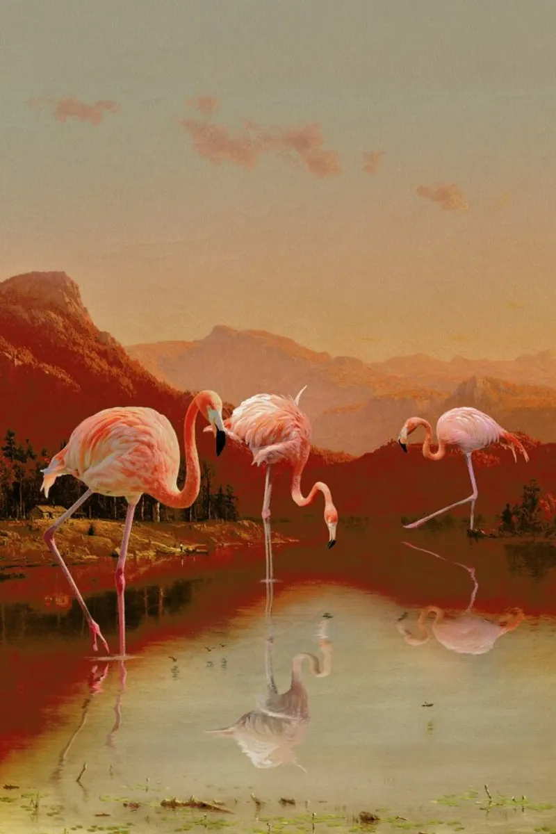 Flamingo Lake poster con telaio in alluminio da Jonas Loose