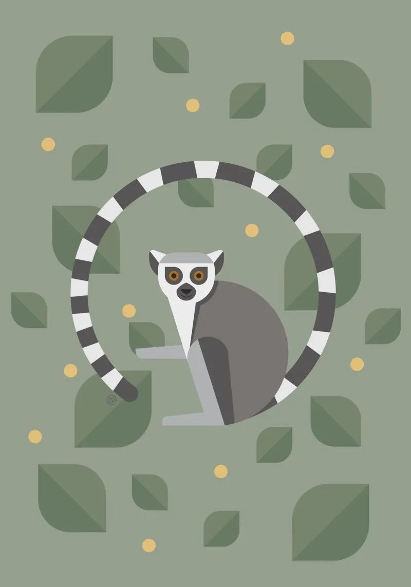 Scimmie lemuri plexiglass da Carolin Vonhoff