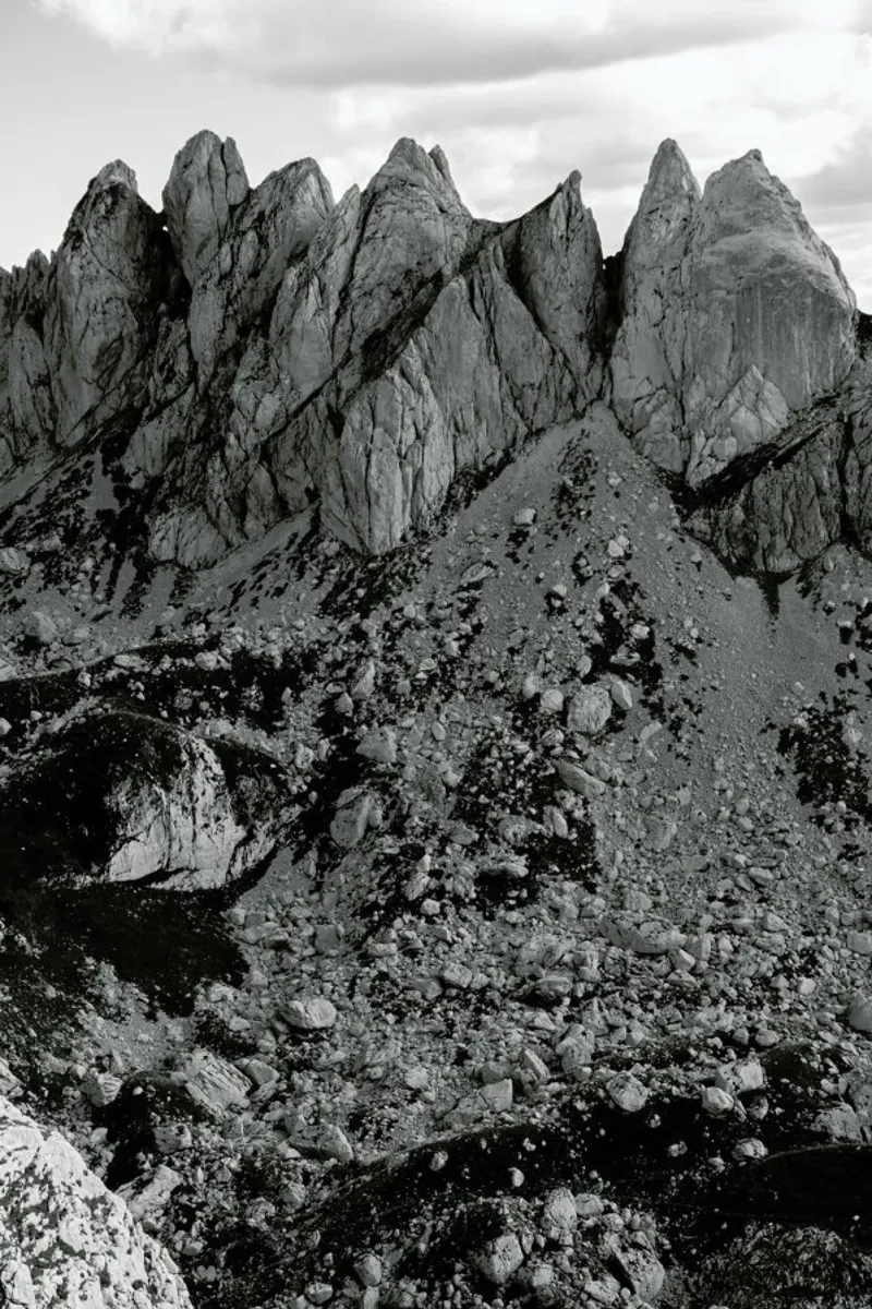 Hiking to the Top poster van Studio Nahili