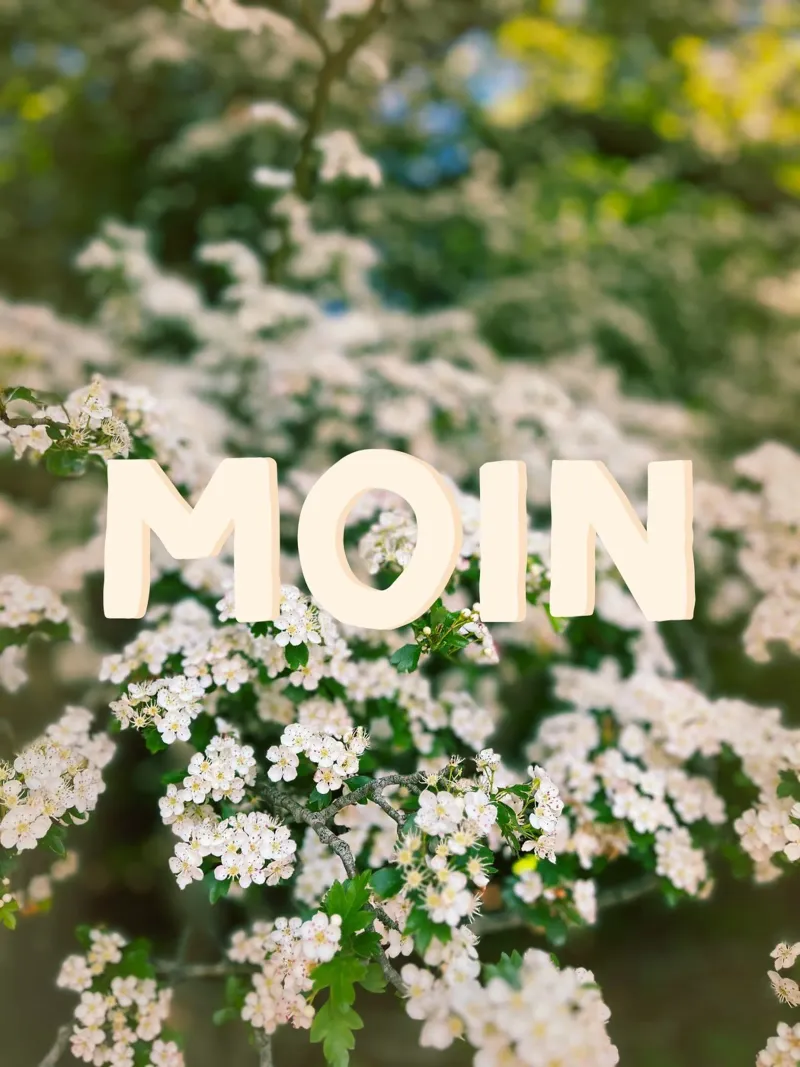 Moin plexiglass da Nordic Vibes