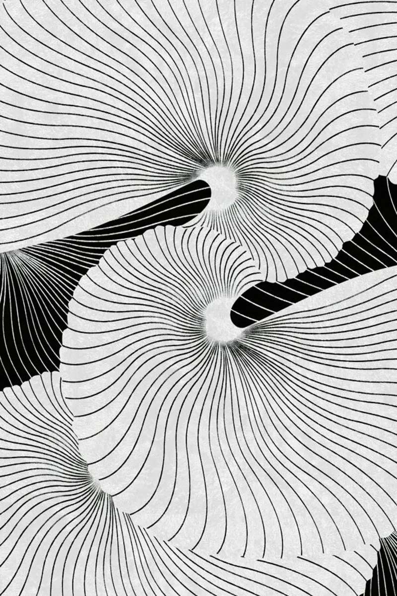 Shell pellicola backlit da STUDIO LEEMO
