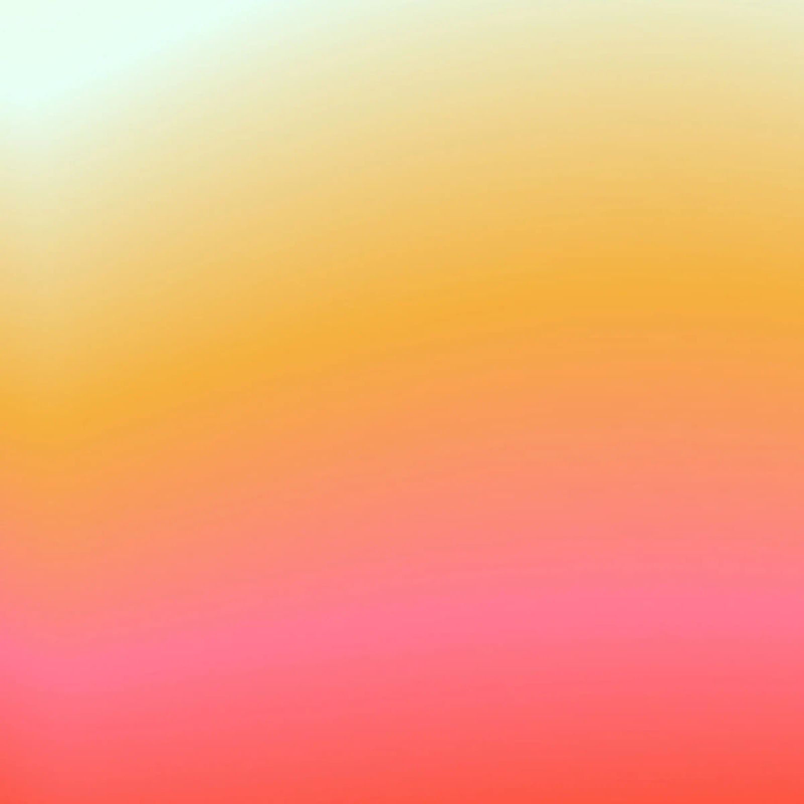 THE BEE'S HAPPY SUMMING 😙 pellicola backlit da ÂME LIBRE STUDIO