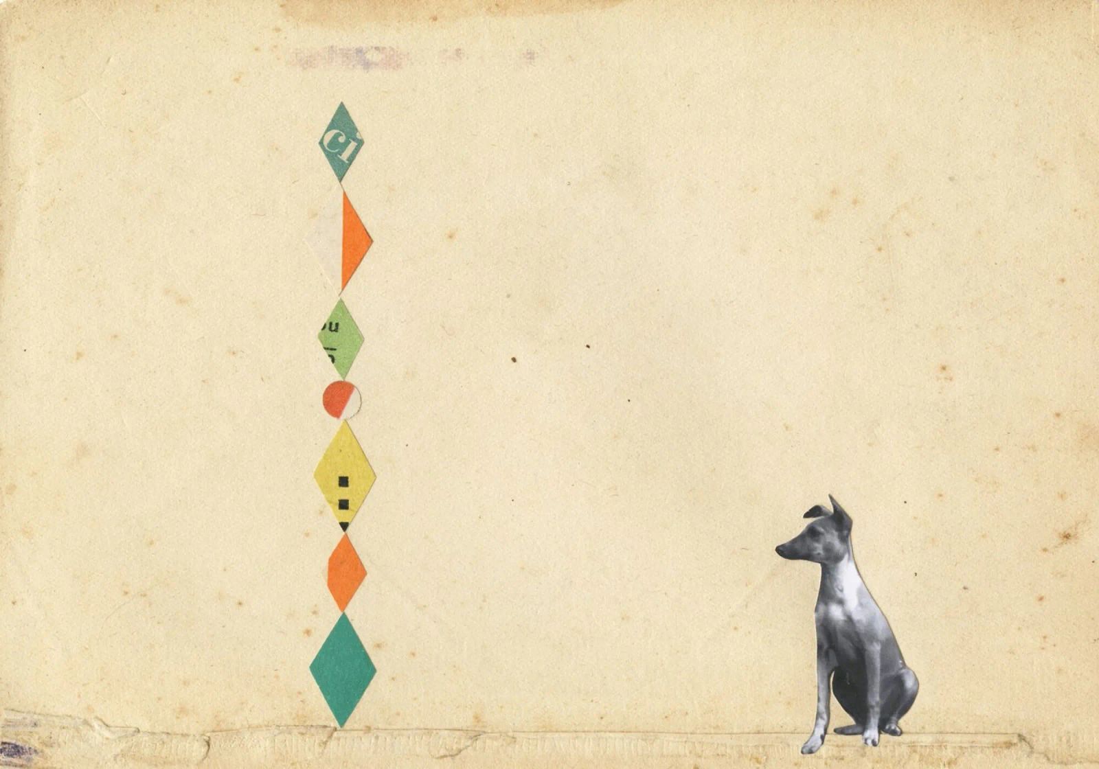 Whippet meraviglioso poster da Cassia Beck Collage