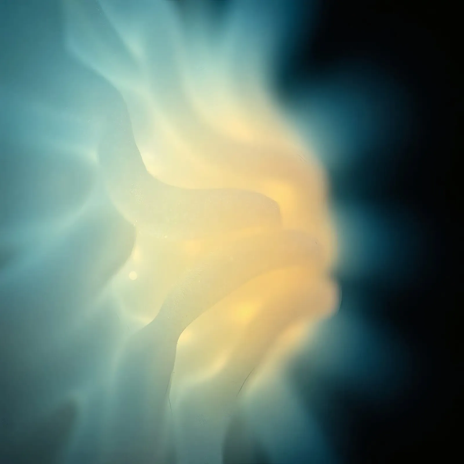 Licht, das in lebendigen Farben wirbelt, erzeugt ein faszinierendes Abstraktes. Hahnemühle von DesignDoodle