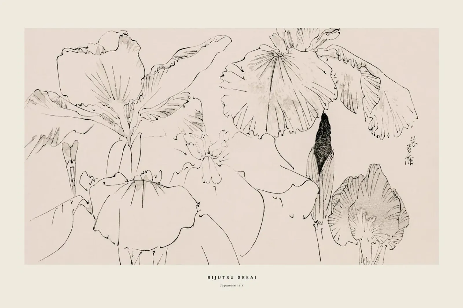 Seitei - Japanese Iris pellicola backlit da Vintage by JUNIQE
