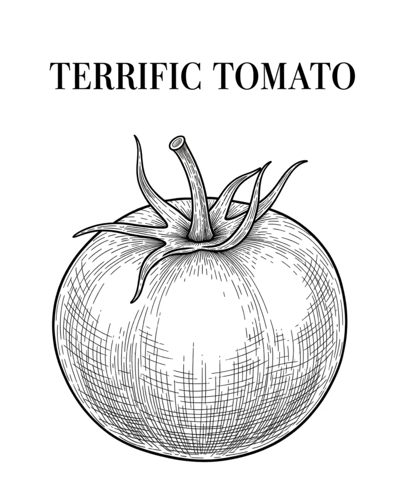 The Quiet Radiance of Red: A Terrific Tomato's Soul alu-dibond by FruityNoodly