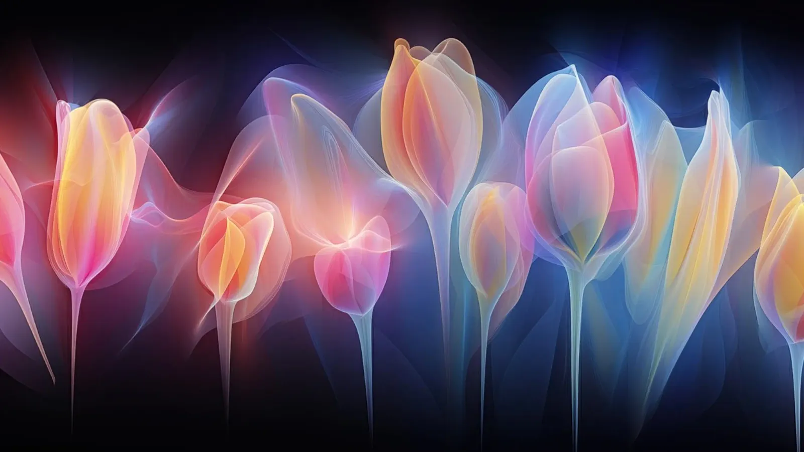 Tulipani al neon pellicola backlit da Imagine