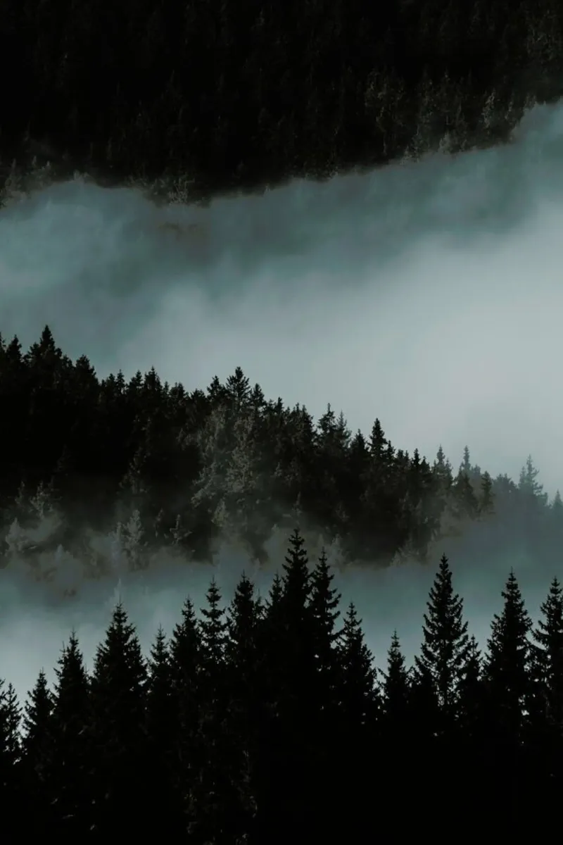 Mystic Mountains by @rokromih hahnemühle de EyeEm Mobile GmbH