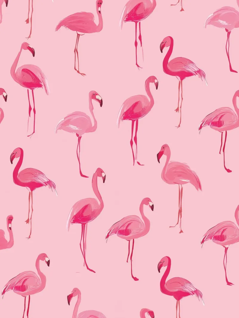 Flamingo's poster by Imagine