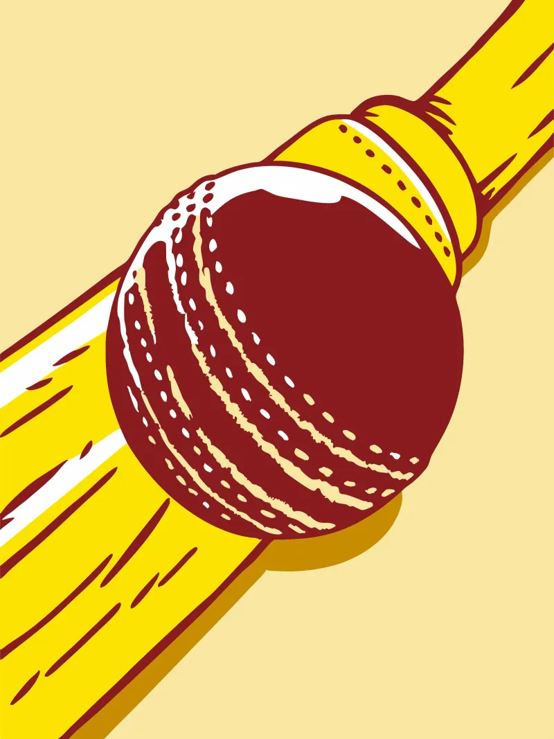 Palla da cricket tela da SPORTS ONLY