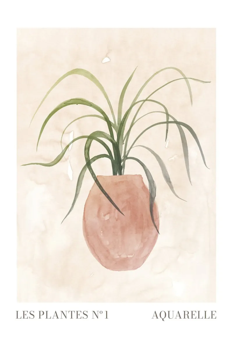 Le piante nº 1 poster da NouveauPrints