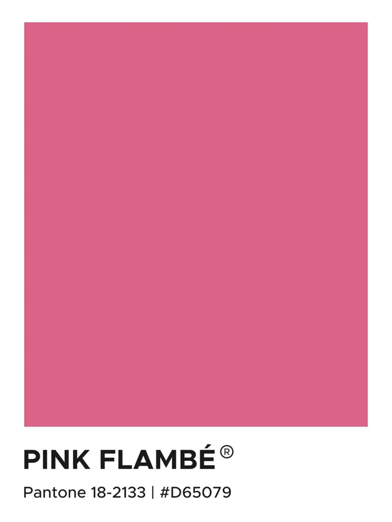 Pink Flambe Pantone pellicola backlit da Paigaam Studio