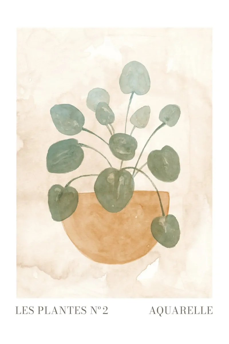 Le piante nº 2 poster con telaio in legno da NouveauPrints