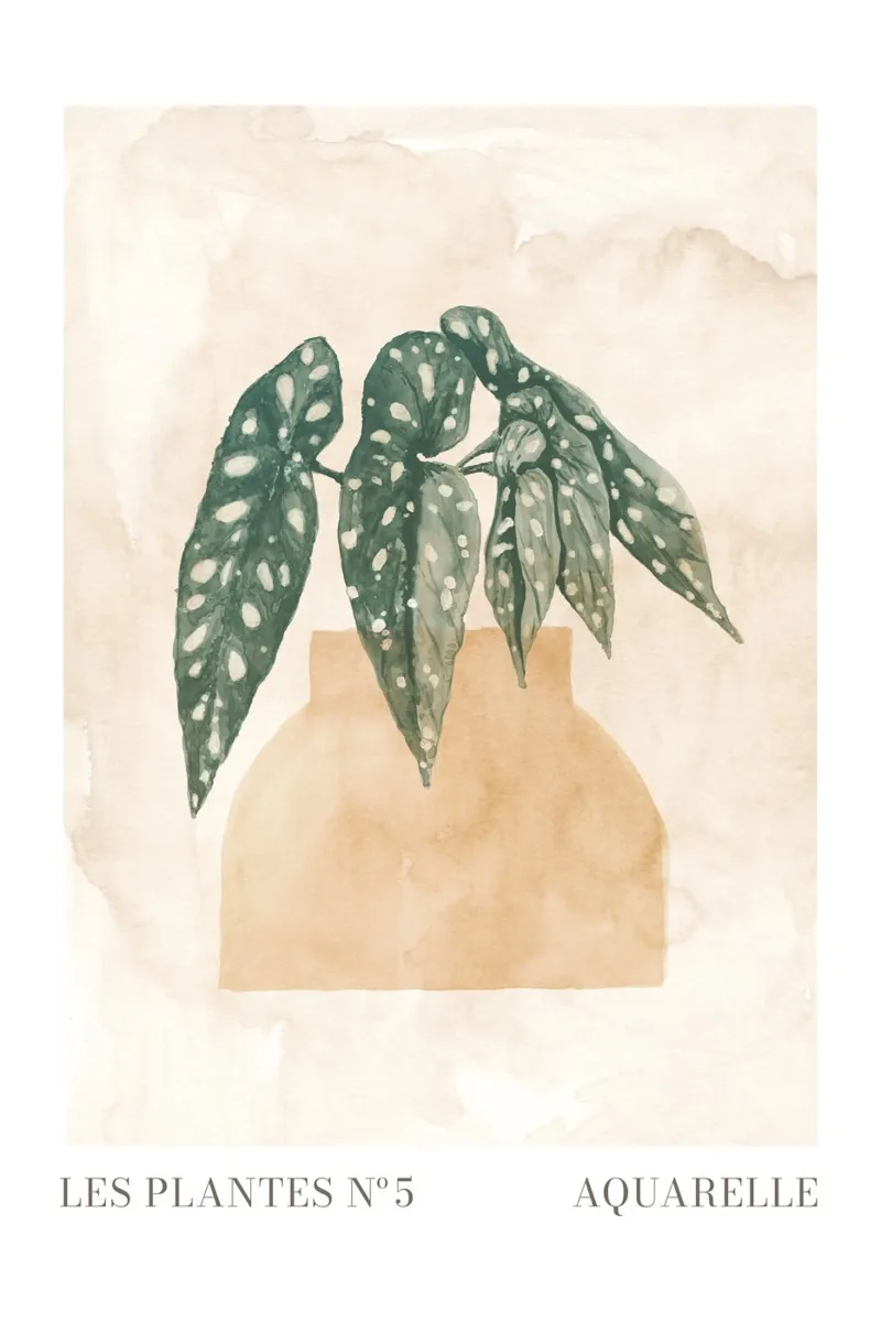 Le piante n. 5 poster da NouveauPrints