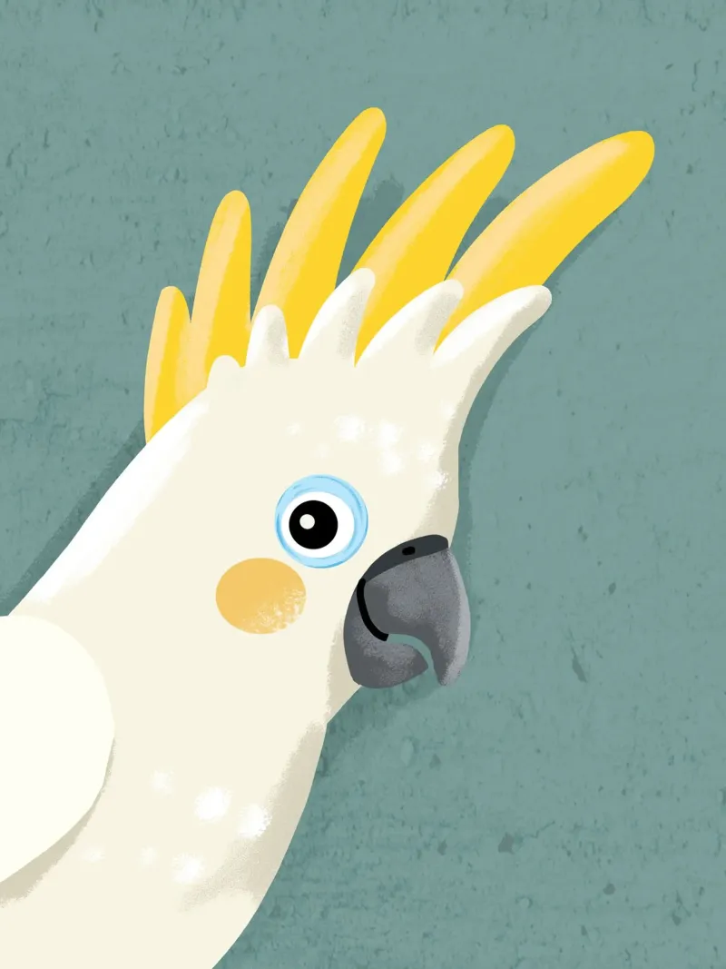 Sii te stesso, cacatua 1 pellicola backlit da Julia Reyelt