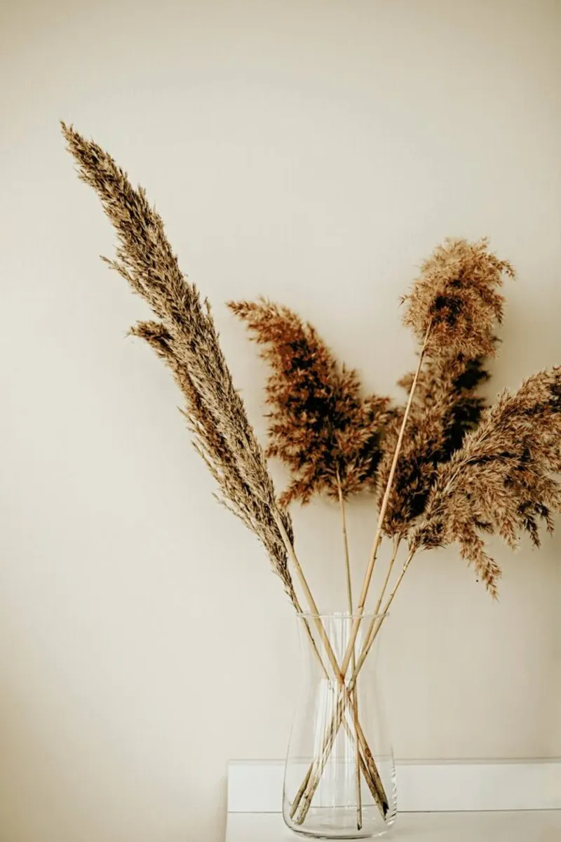 Natural Textures pellicola backlit da Flora & Fauna
