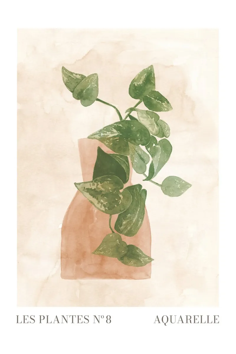 Le piante nº 8 poster con telaio in plastica da NouveauPrints