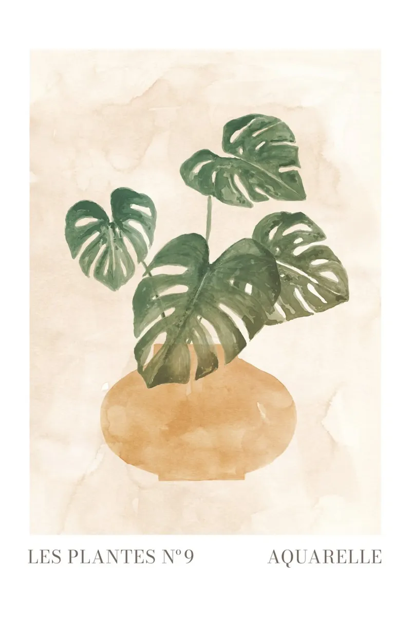 Piante nº 9 poster da NouveauPrints