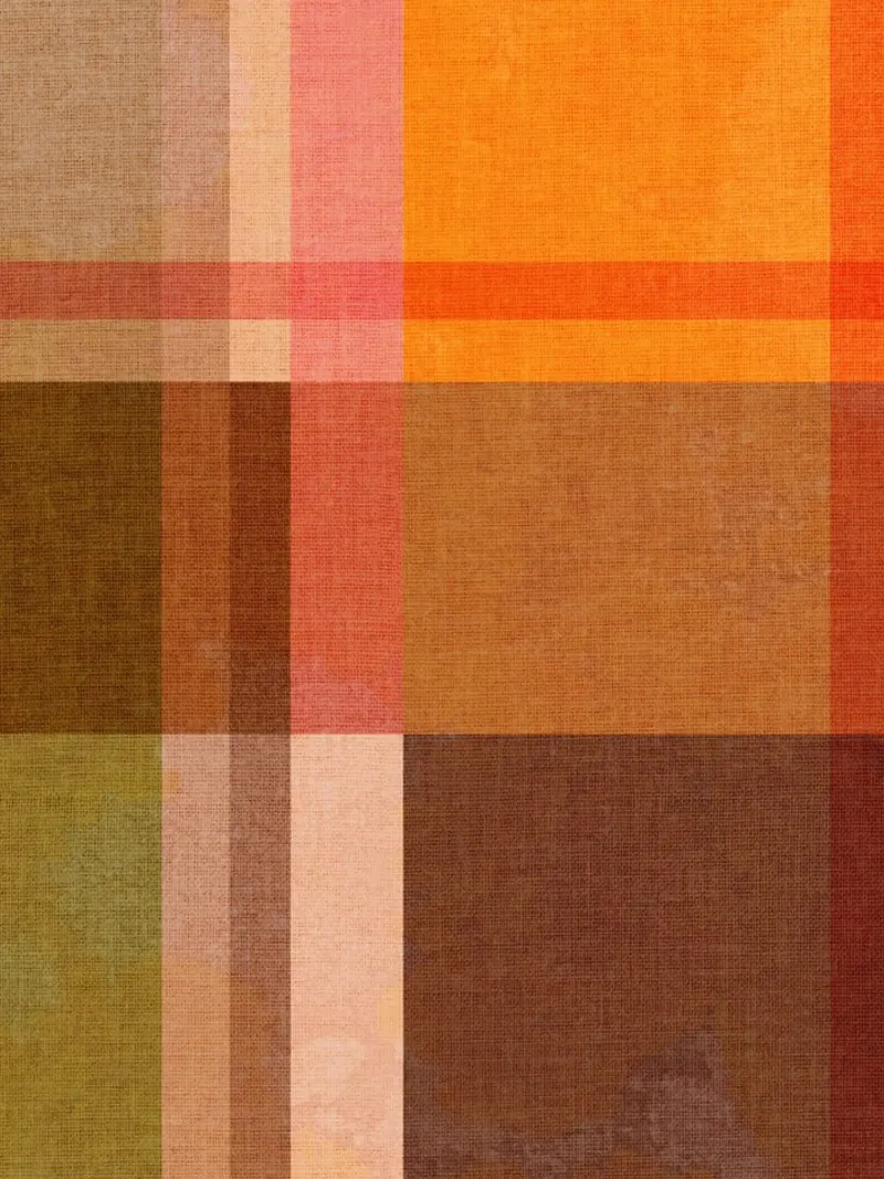 Cosy Heritage Bauhaus Plaid 1/2 earthy orange blue green backlit film by Dominique Vari Abstract