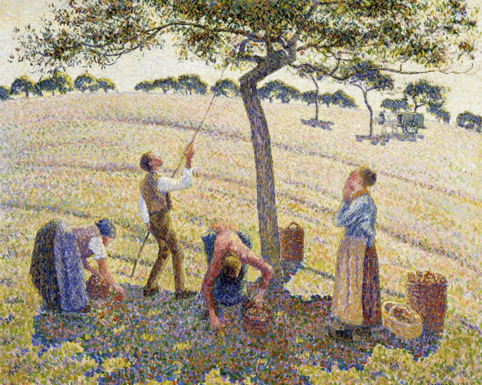Pissarro: Apfelernte - Neoimpressionismus, Ländliches Leben, Poi Leinwand mit Schattenfugenrahmen von NorwesClub