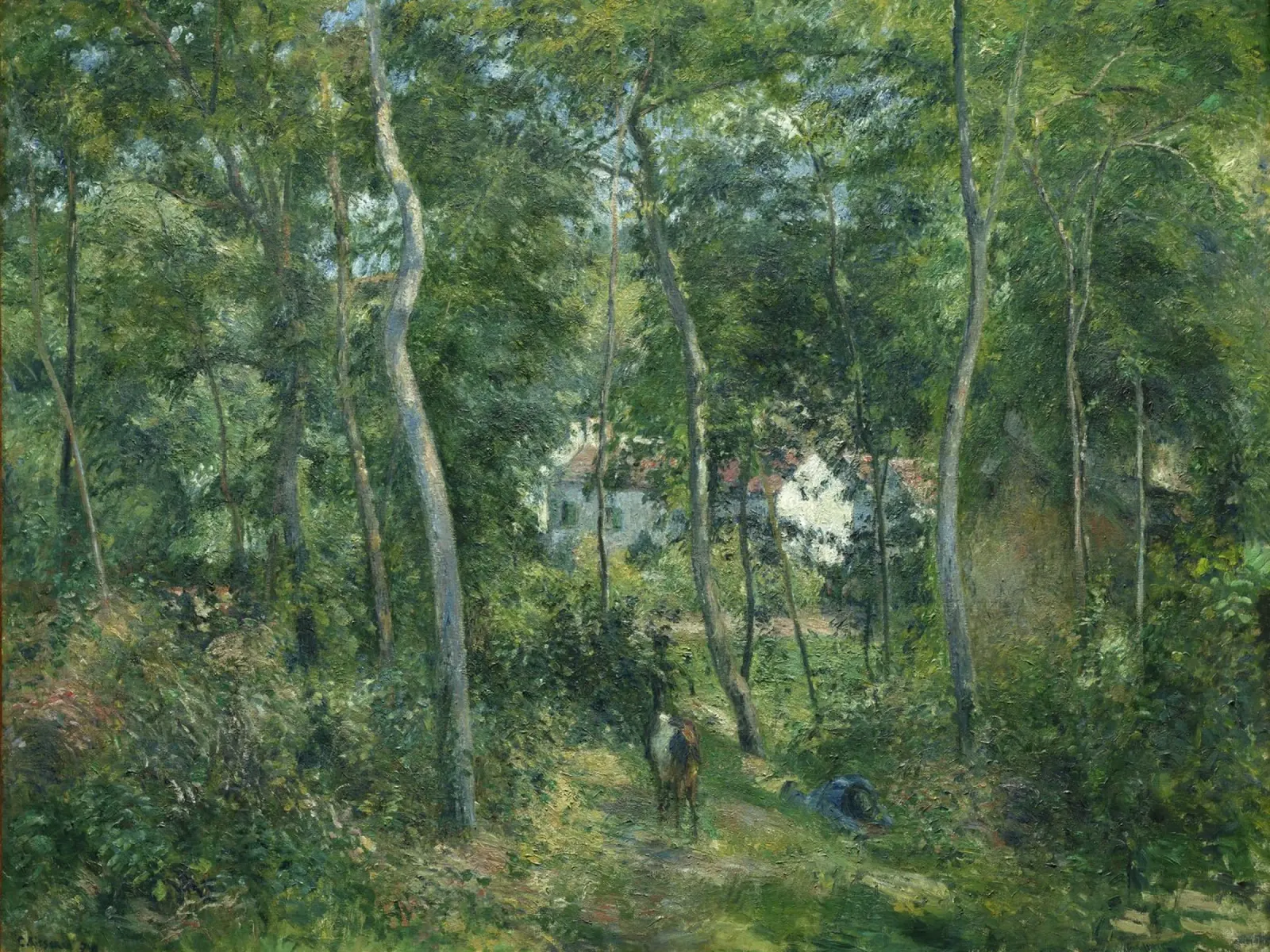 Pissarro's Impressionist Forest: Nature & Tranquility Art Pr canvas with Floater frame by NorwesClub