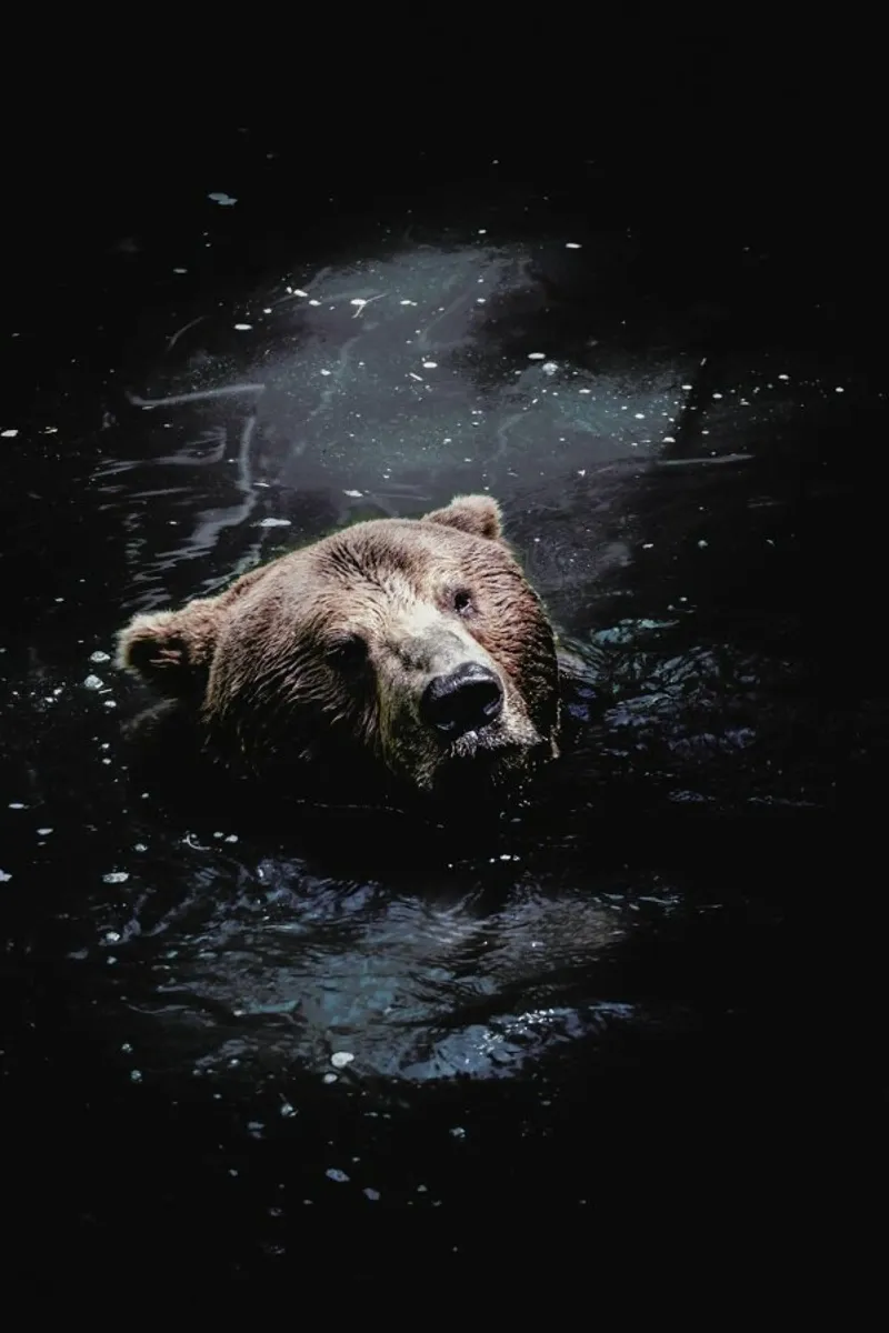 Grizzly Paddle @nilsleithold carta hahnemühle da EyeEm Mobile GmbH