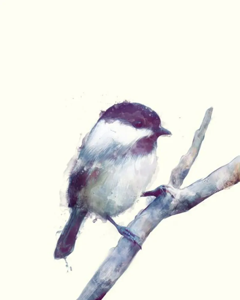 little bird on a tree branch amy hamilton alu-dibond by kbm store