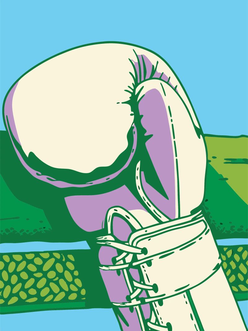 Boxing Gloves poster by SPORTS ONLY