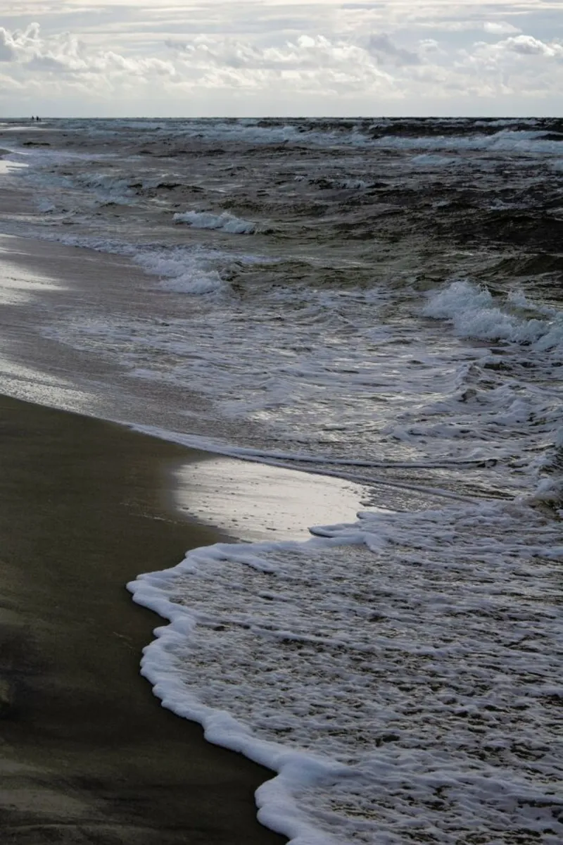 Greige Golden Evening Beach Walk aluminio dibond de Studio Nahili