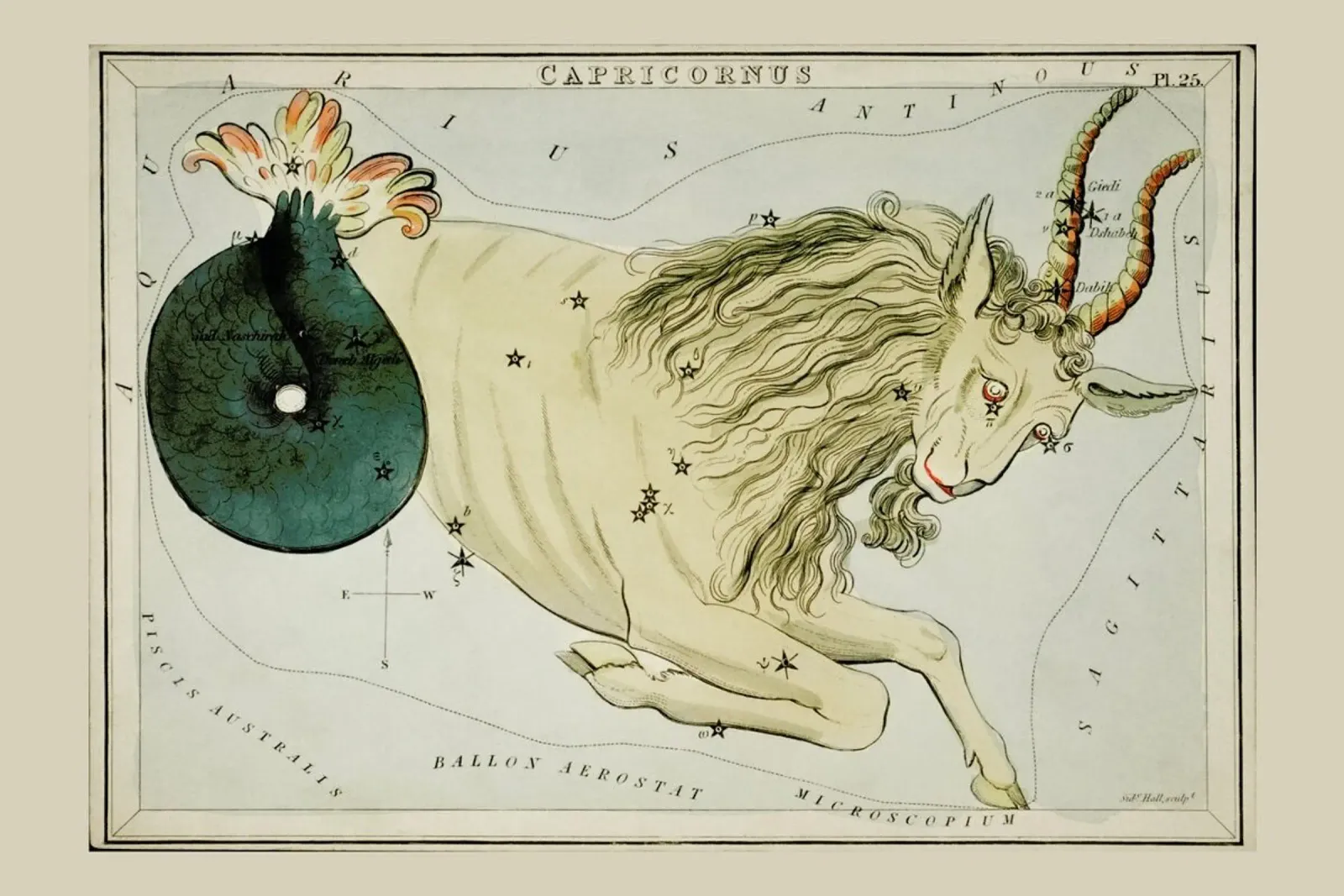 Capricornus poster con telaio in alluminio da Vintage by JUNIQE