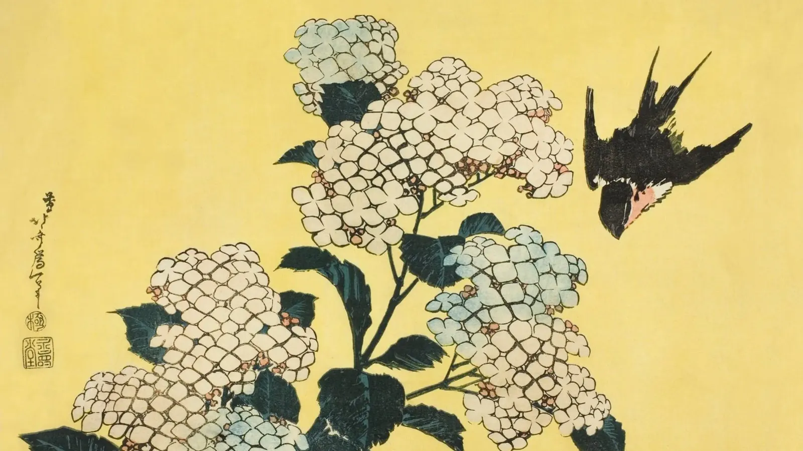 Japanese Ukiyo-e: Hydrangea & Swallow Nature Art Print canvas with Floater frame by NorwesClub