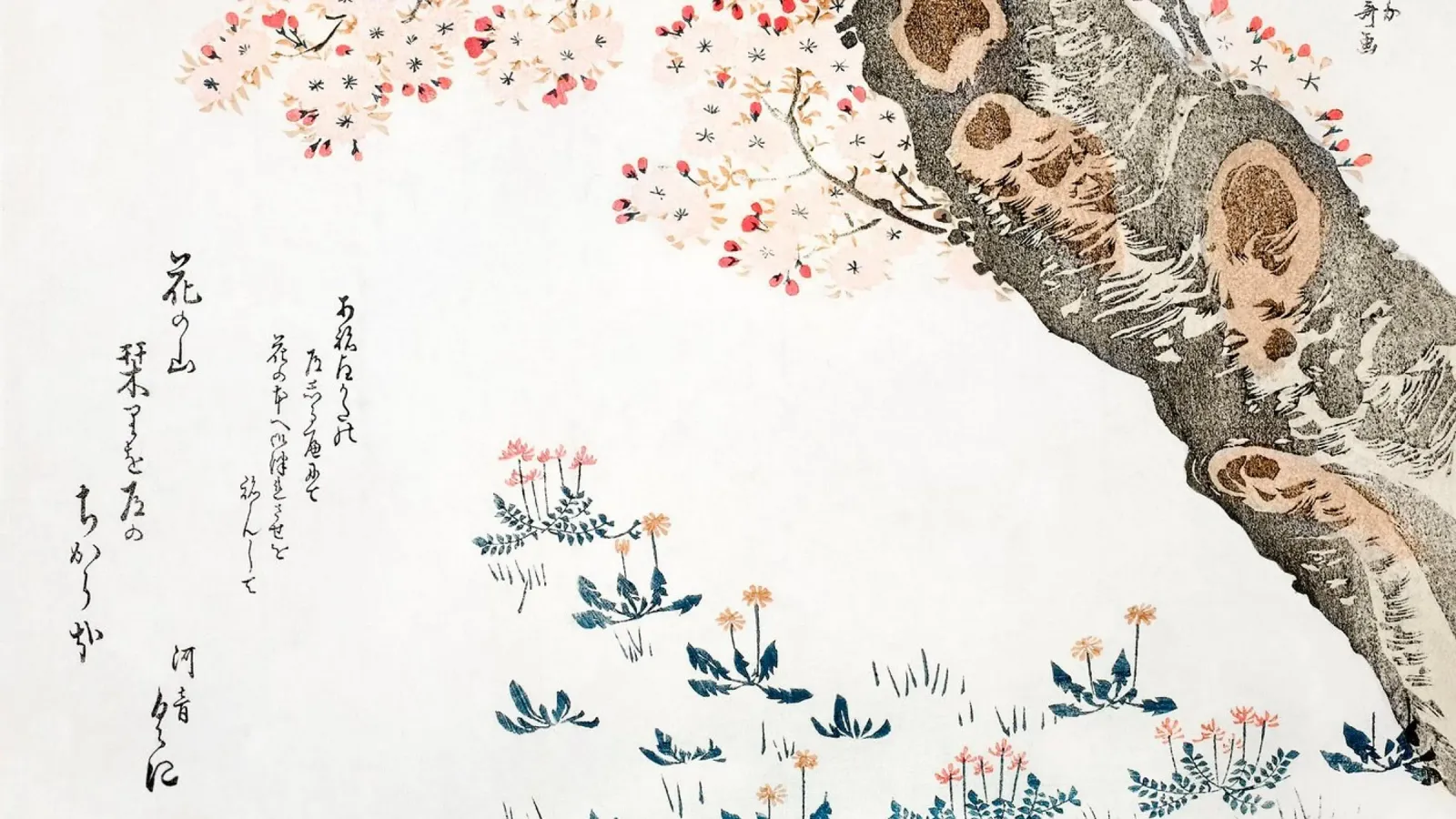 Hokusai: Albero dei ciliegi in fiore e fiori selvatici - Sereno Ukiyo-e pellicola backlit da NorwesClub