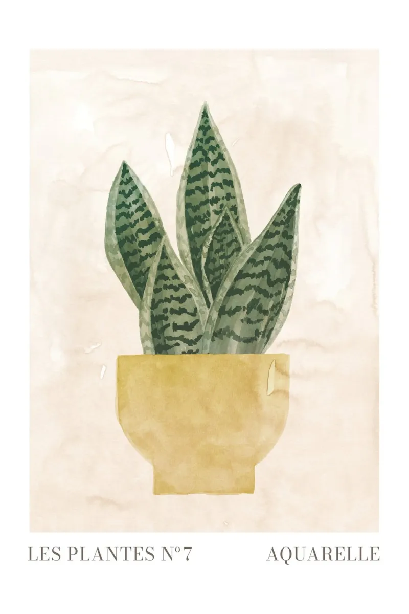 Piante n. 7 poster con telaio in legno da NouveauPrints