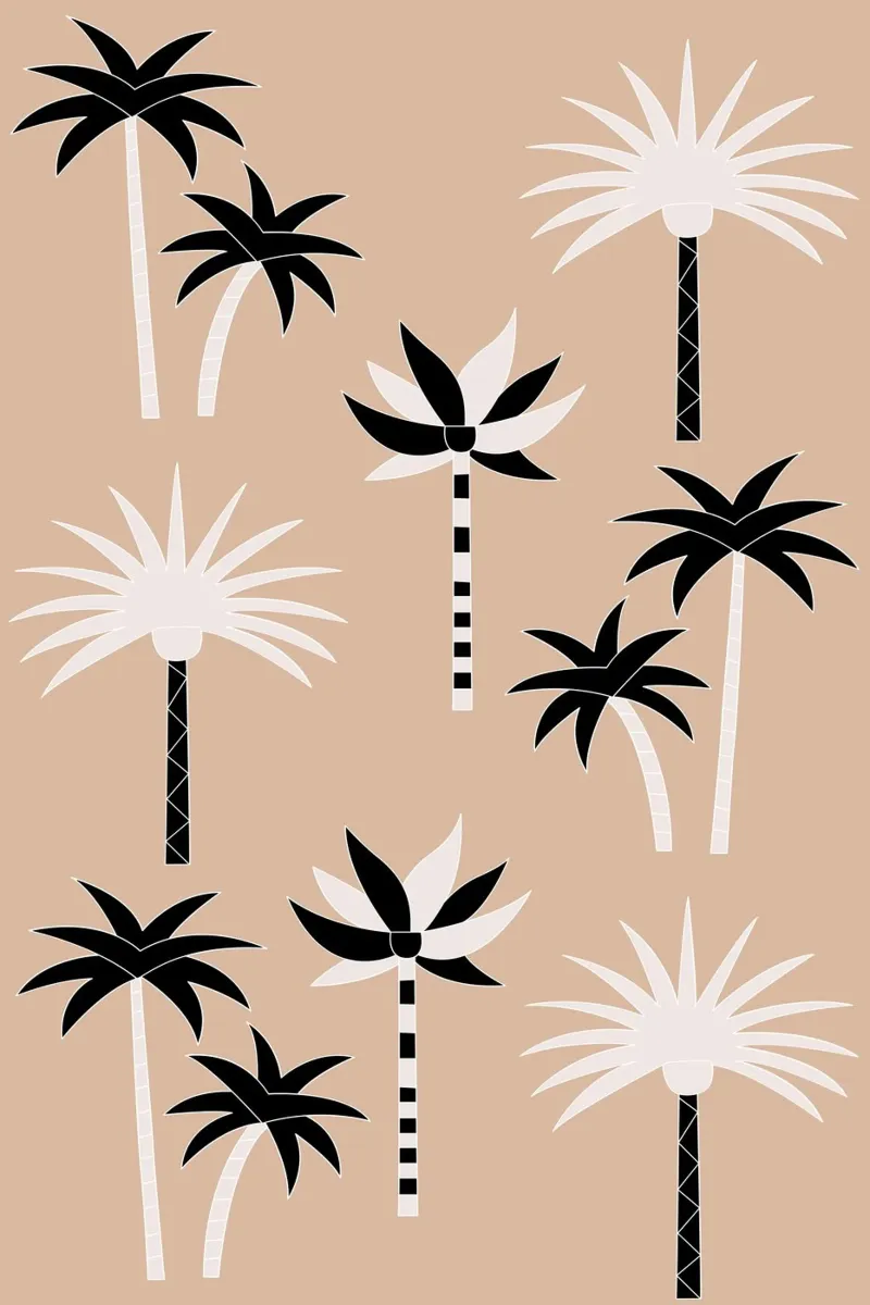 Palm Trees Neutral Black & White pellicola backlit da SilverPegasus