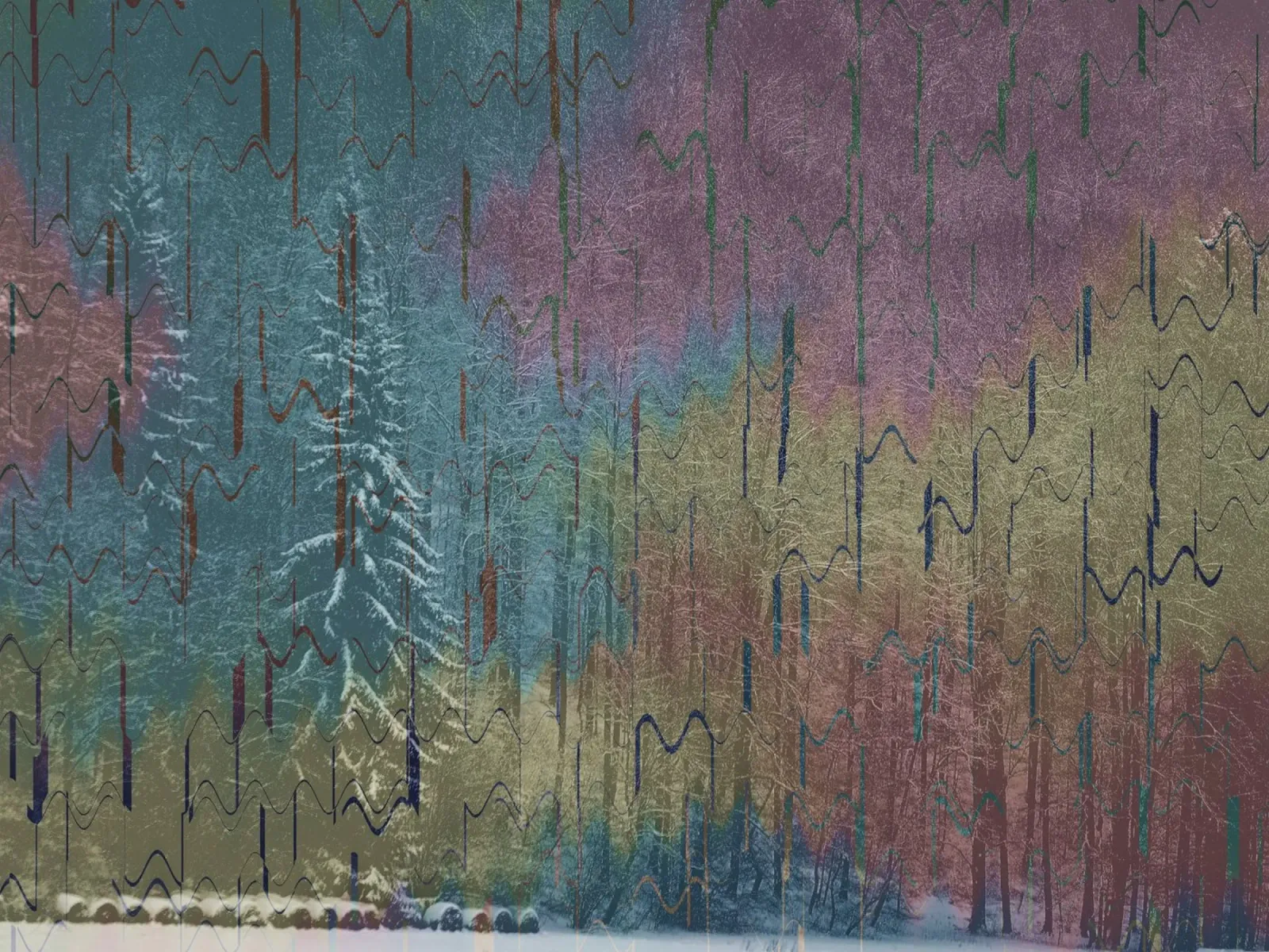 Due alberi in inverno su uno sfondo colorato pellicola backlit da Something for you