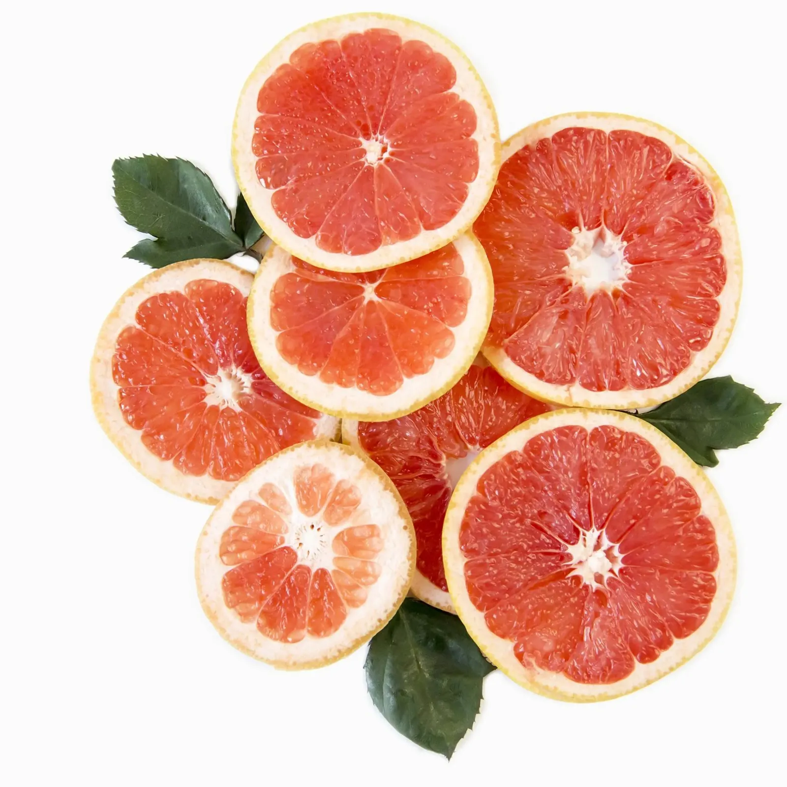 Grapefruit & Rosen Hahnemühle von PhotoVibe Decor