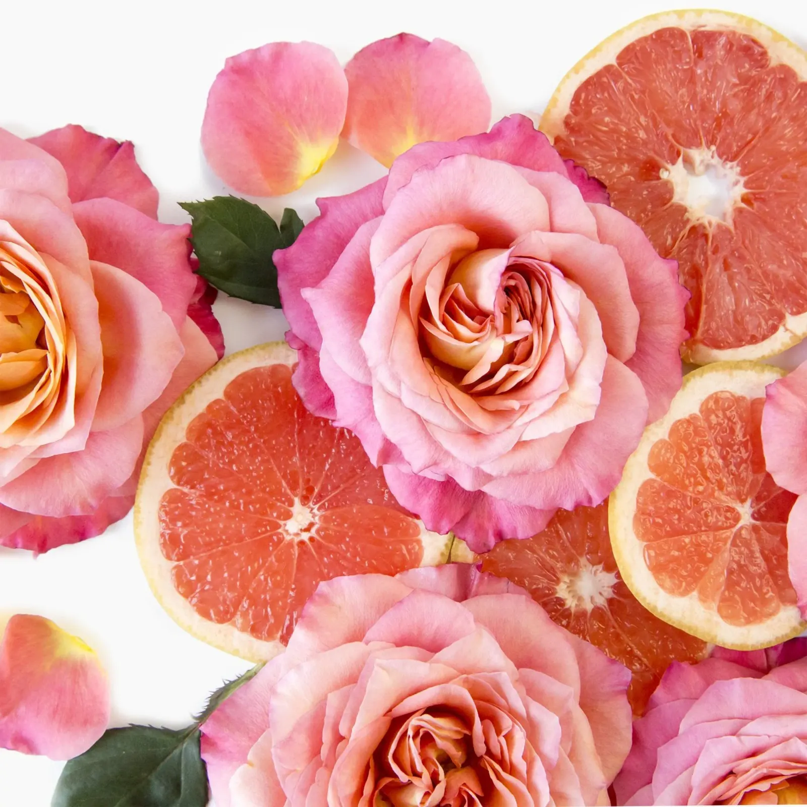 Pompelmo e rose carta hahnemühle da PhotoVibe Decor