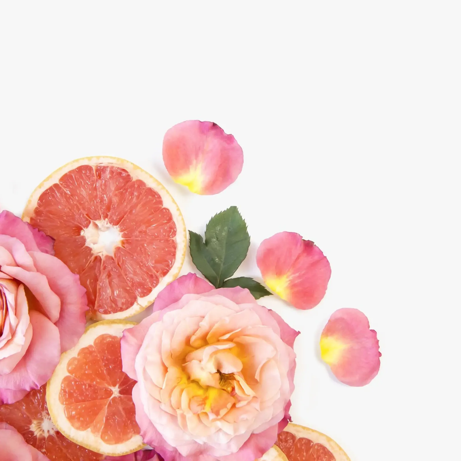 Grapefruit & Rozen canvas met Baklijst van PhotoVibe Decor