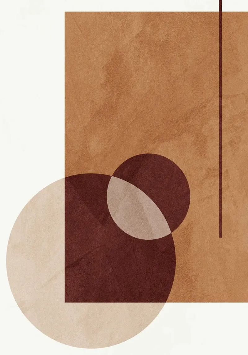geometrische vormen cirkels rechthoek lijnen overlappende vormen poster van Leslie Anne Kriz