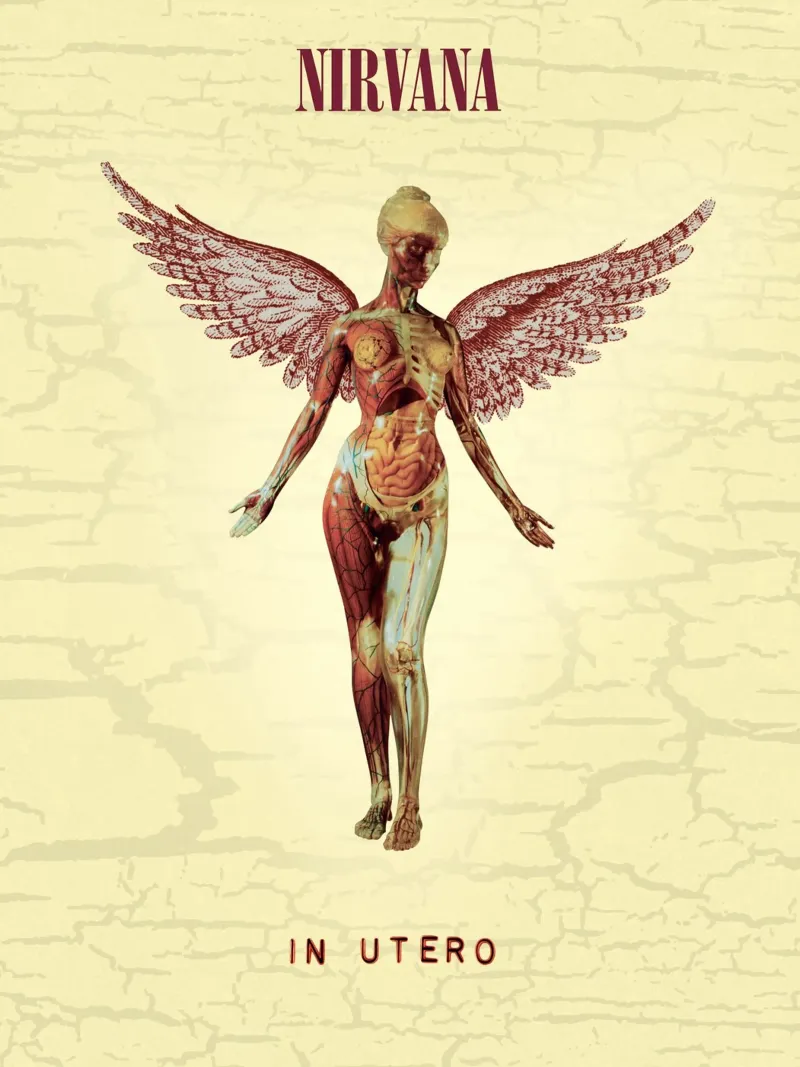 Nirvana In Utero Engel Anatomie Hahnemühle von Has Fab