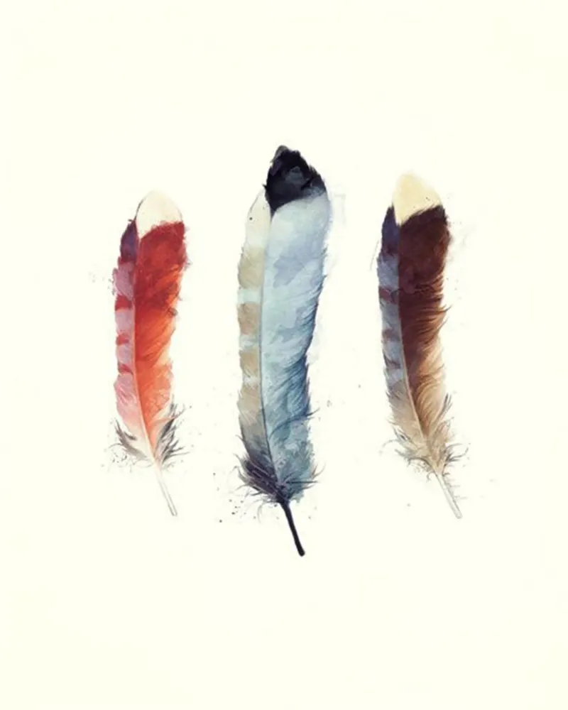 feder vogel zart amy hamilton Leinwand von komo store