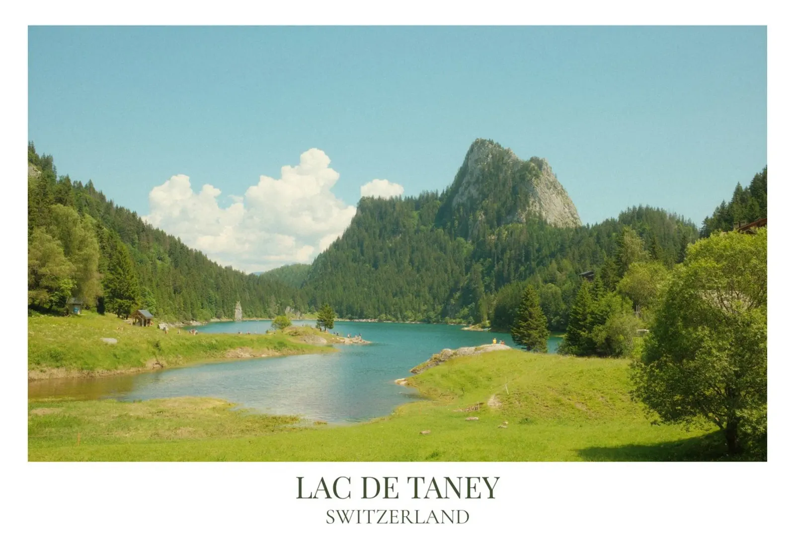 Lac de Taney: Switzerland poster da FujiFrames