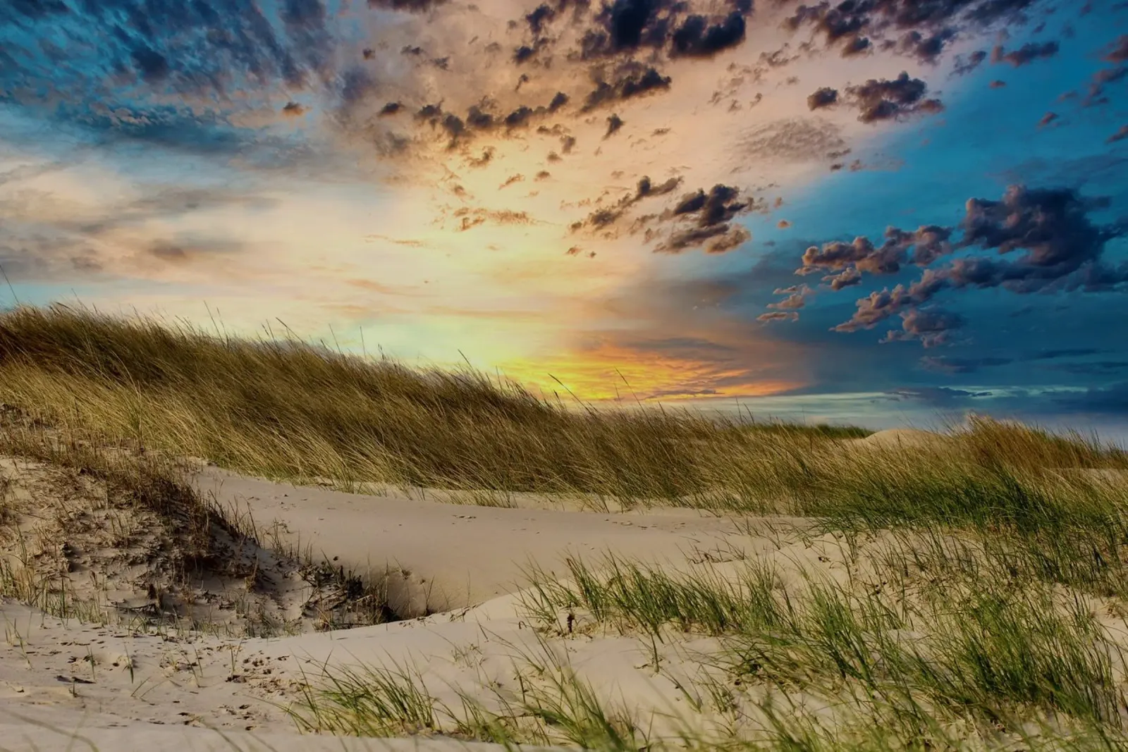 Sanddünen pellicola backlit da kosinsart.gallery