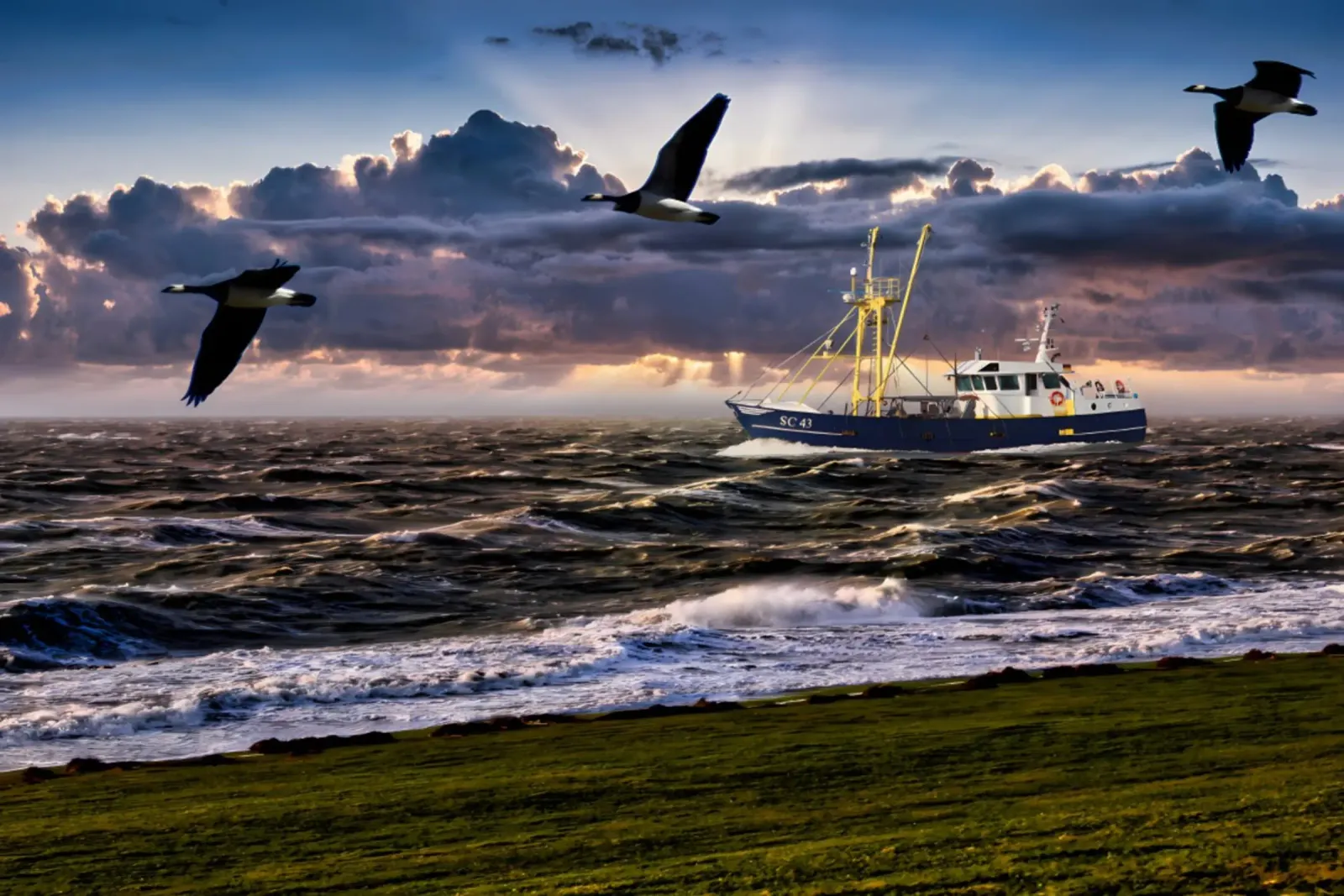 Sturm an der Nordsee alluminio dibond da kosinsart.gallery