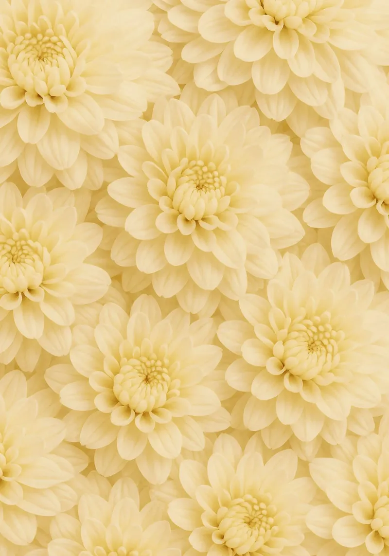 Soft Petal Symphony carta hahnemühle da Mosaic Dialogue